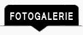 Fotogalerie